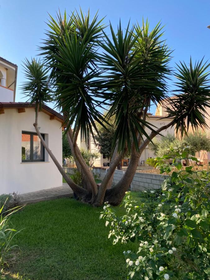 Il Pepe Rosa Bed & Breakfast Posada  Exterior photo